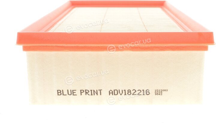Blue Print ADV182216