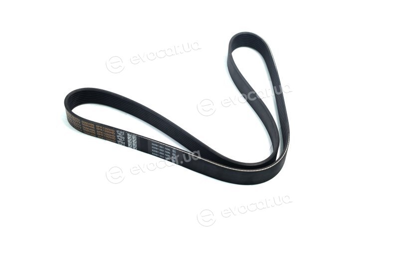 Dayco 8PK1260HD