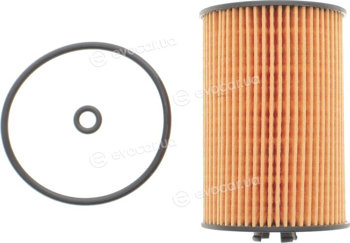 AMC FOF-10095