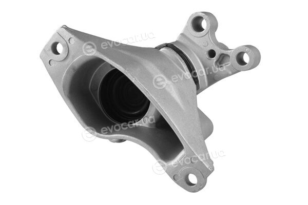 Tedgum TED46734