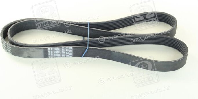 Continental 7PK1642