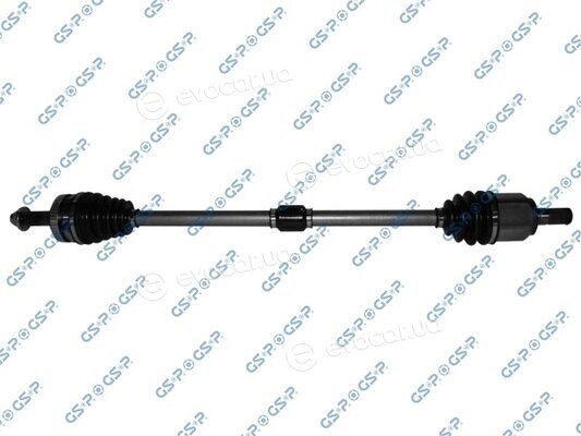 GSP 224261