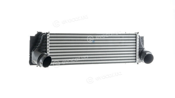 Mahle CI 184 000P