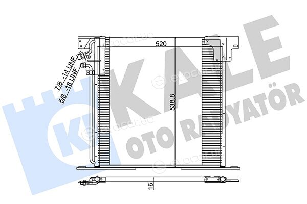 Kale 381200