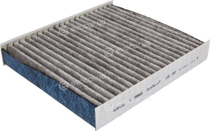 Mahle LAO 293
