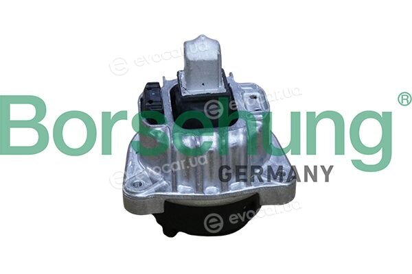 Borsehung B12911