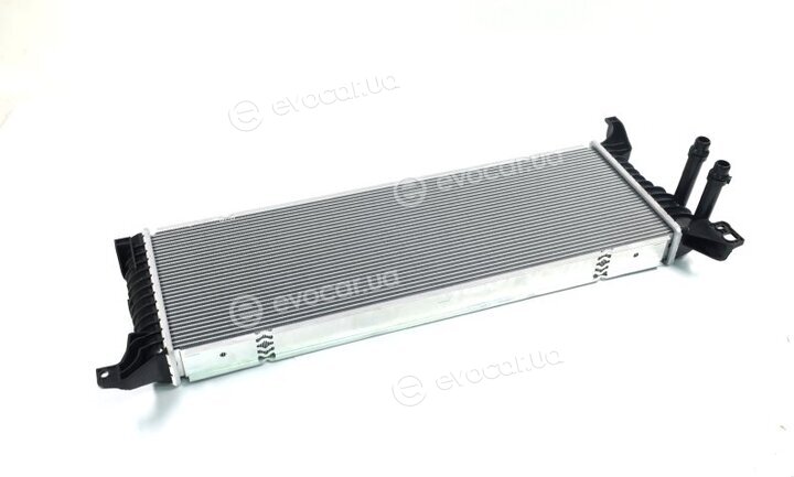 NRF 560019