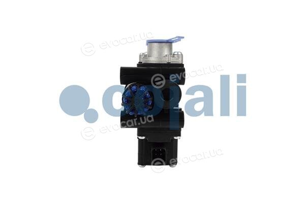Cojali 2209476