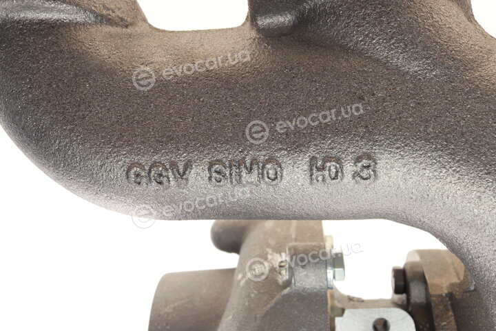 BorgWarner 54399880049
