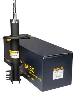 Raiso RS310763