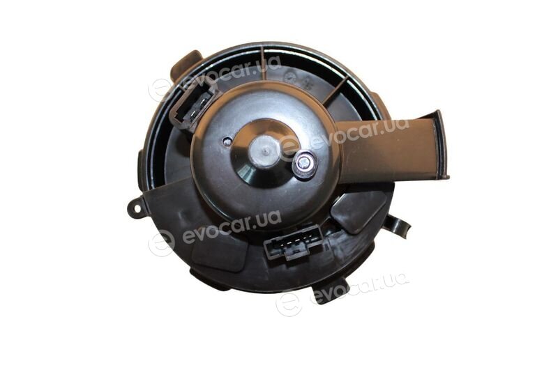 Walker / Fonos WBL01387
