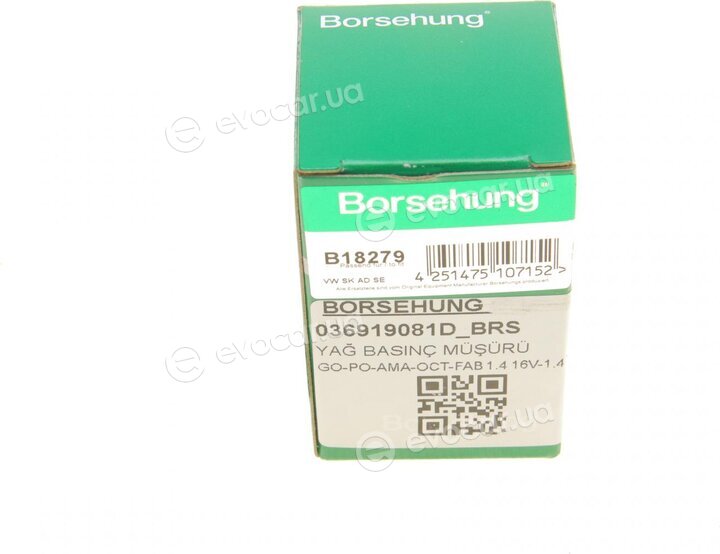 Borsehung B18279