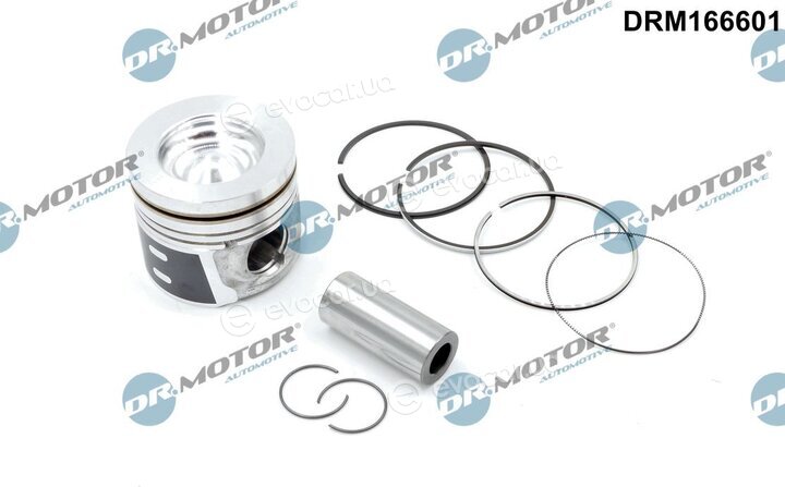 Dr. Motor DRM166601