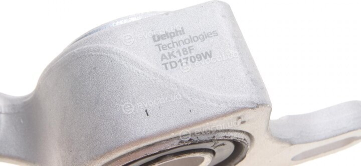 Delphi TD1709W