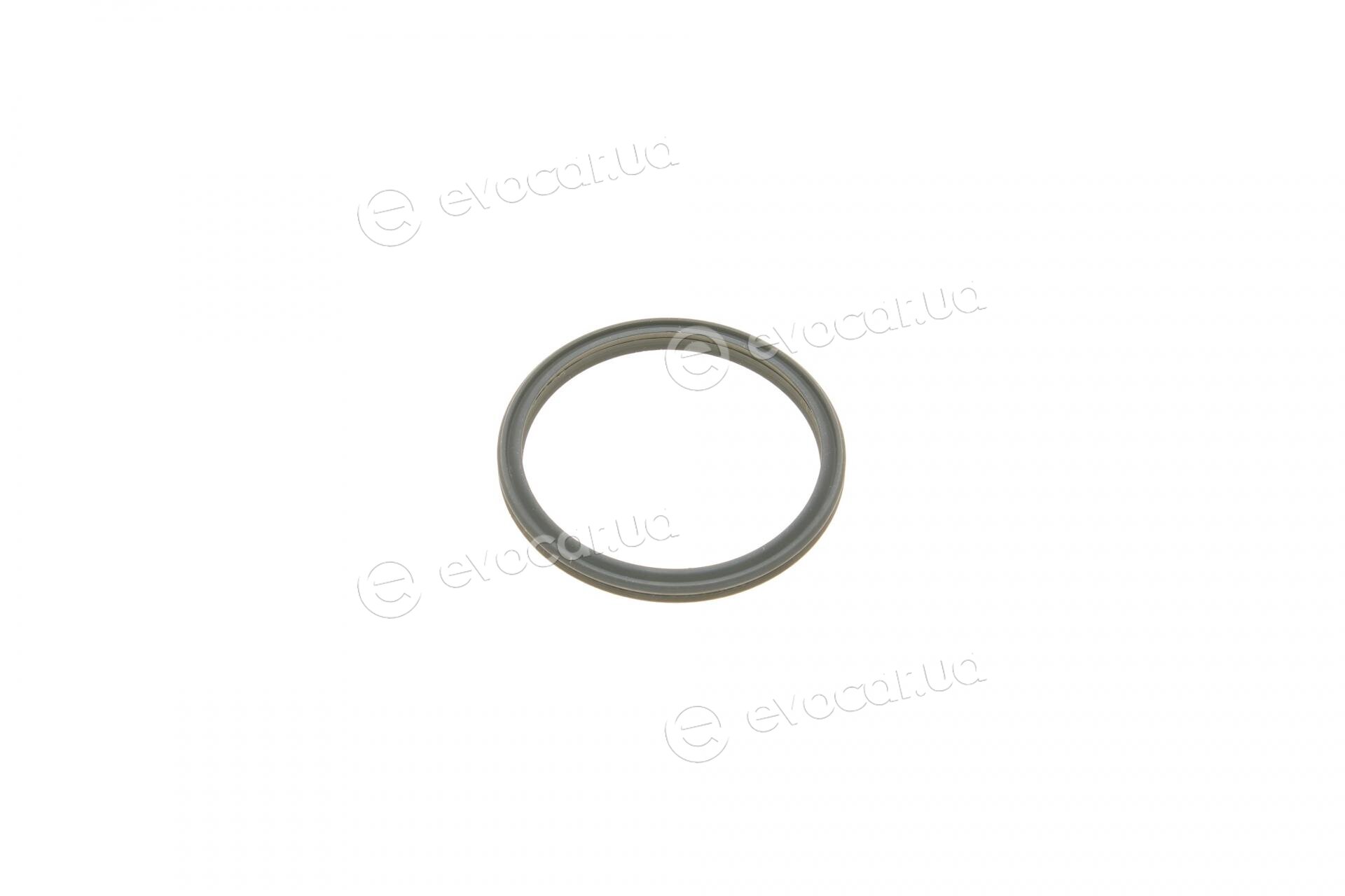 Elring 703.570
