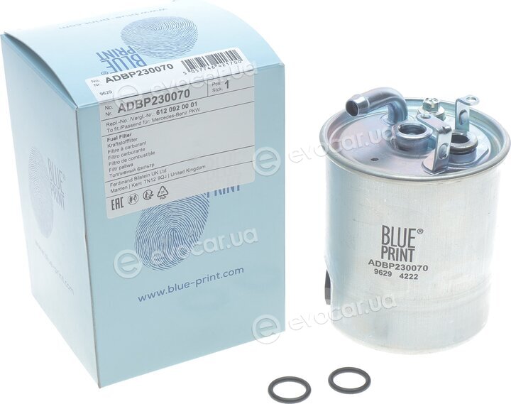 Blue Print ADBP230070