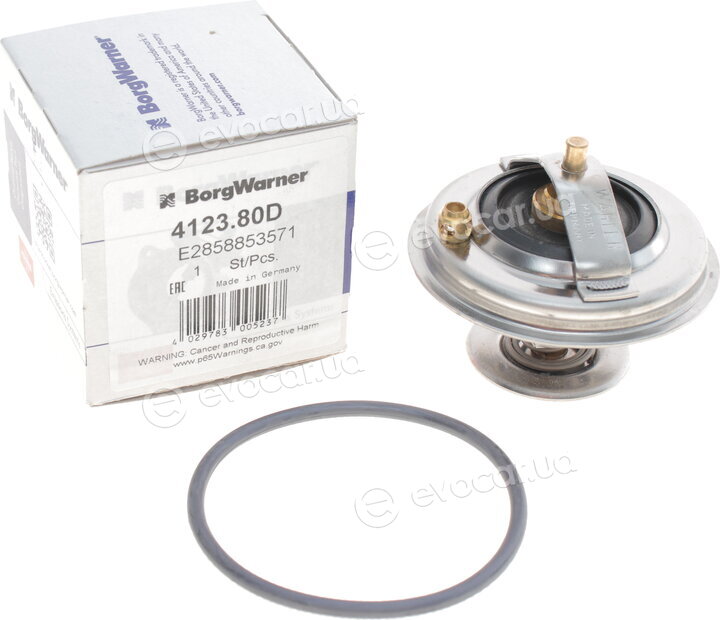 Wahler / BorgWarner 4123.80D