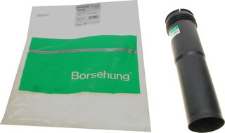 Borsehung B10154