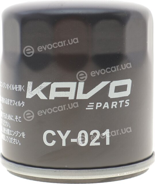 AMC CY-021