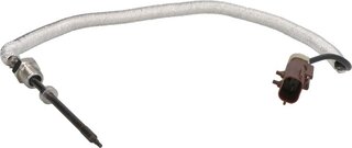 Delphi TS30255