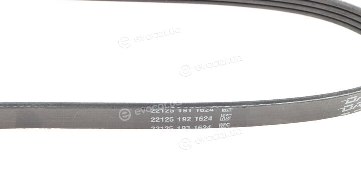 Dayco 4PK747