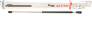 Lesjofors 8117000