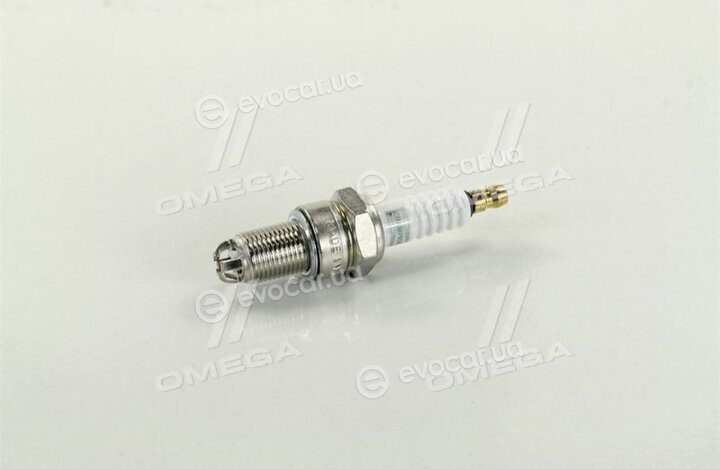 Champion OE025/T10