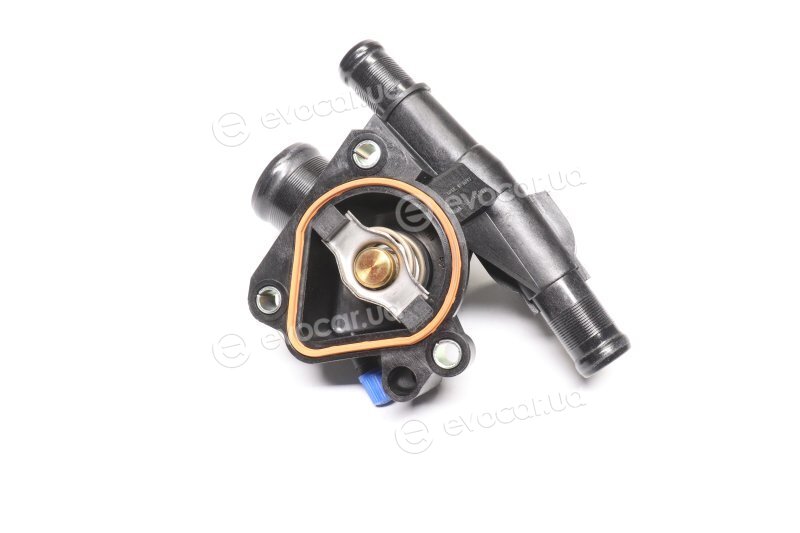 Mahle TI 248 83