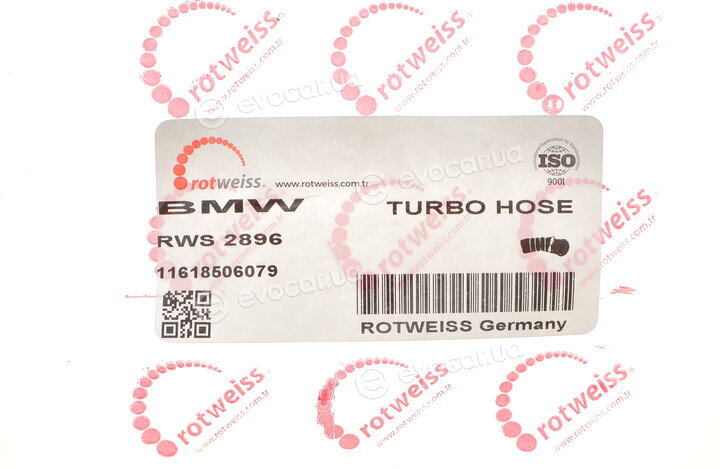 Rotweiss RWS2896
