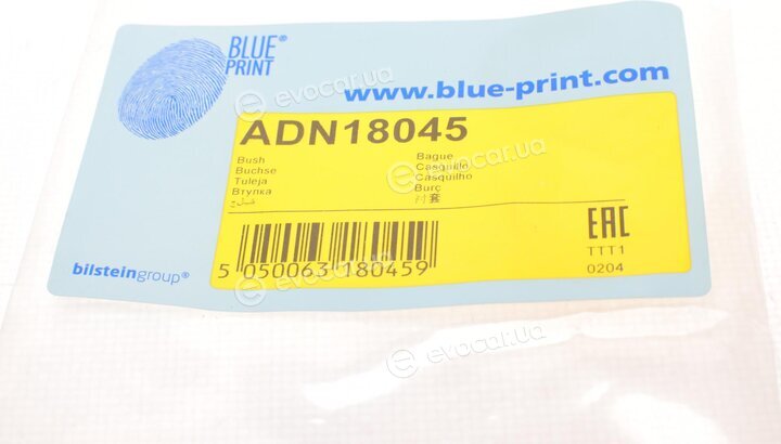 Blue Print ADN18045