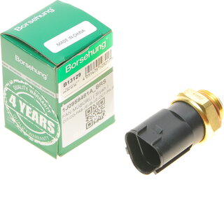 Borsehung B13129