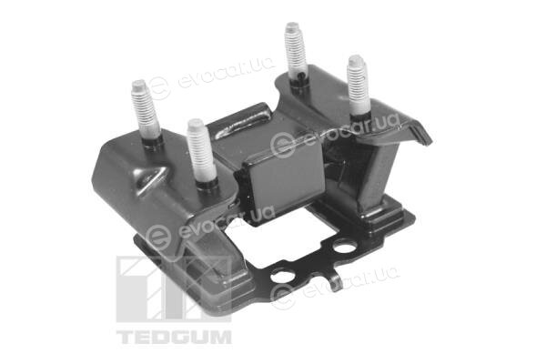 Tedgum TED99751