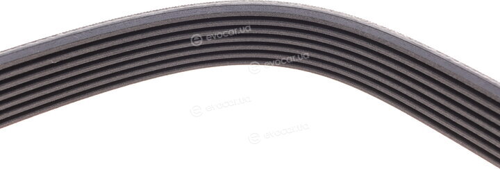 Continental 7PK2271