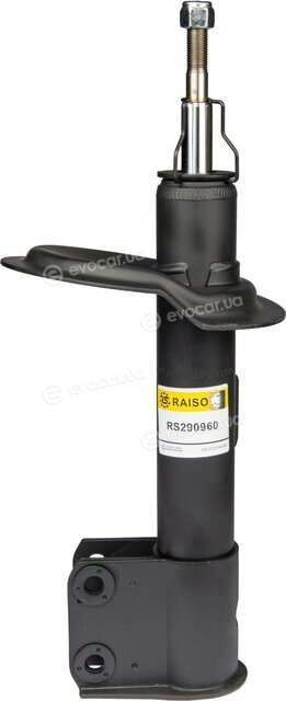 Raiso RS290960