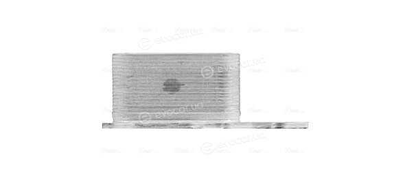 AVA BW3621
