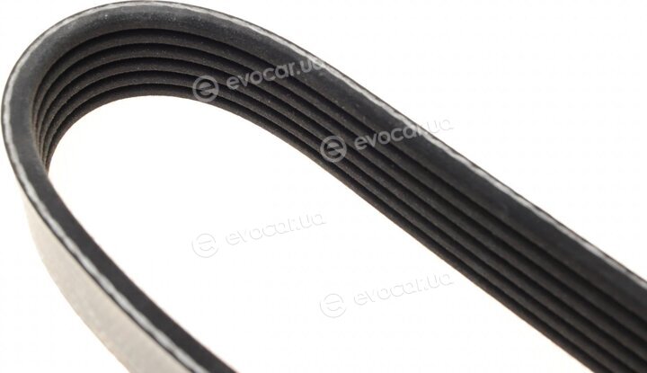 Dayco 6PK1178