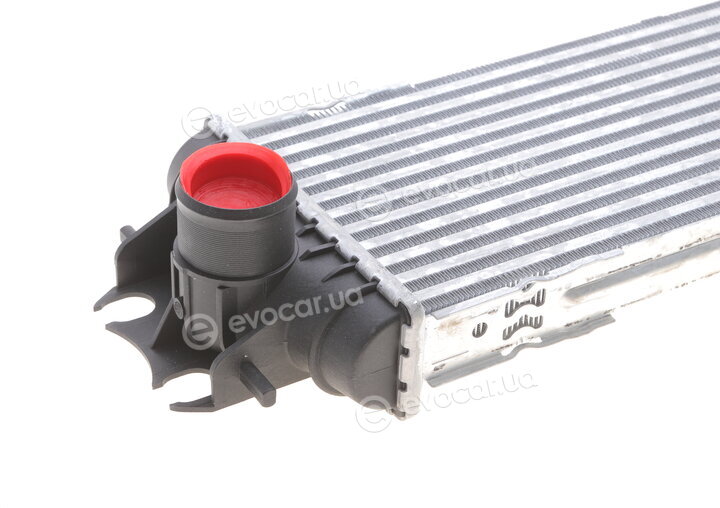 Van Wezel 43004328