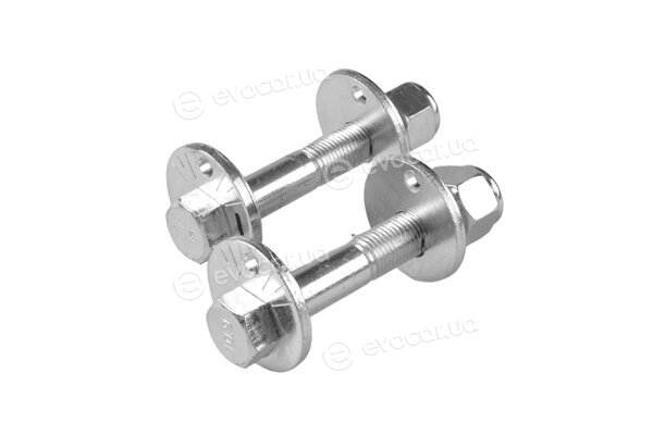 Tedgum TED53771