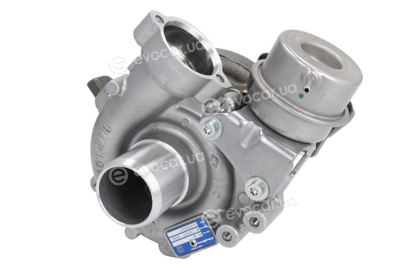 BorgWarner 54389880017