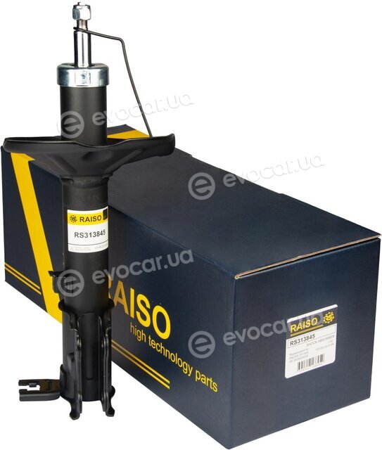 Raiso RS313845