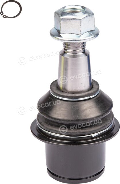 Raiso RL500180L