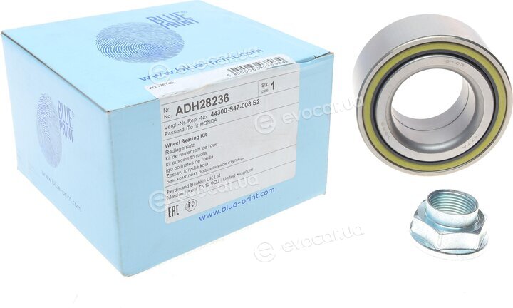 Blue Print ADH28236