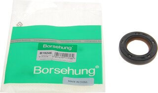 Borsehung B19246
