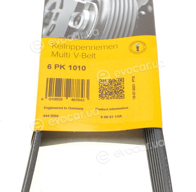 Continental 6PK1010