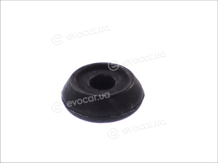 Fortune Line FZ70781