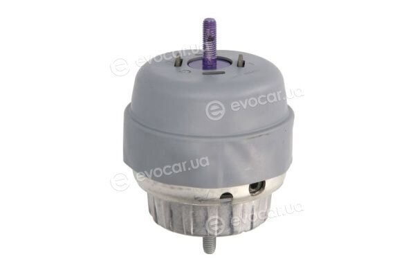 Reinhoch RH11-0099