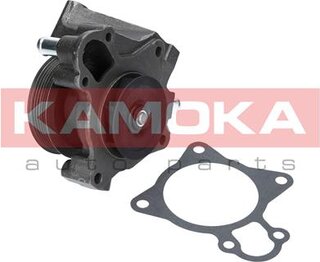 Kamoka T0097