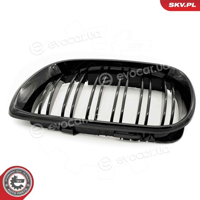 SKV 66SKV081