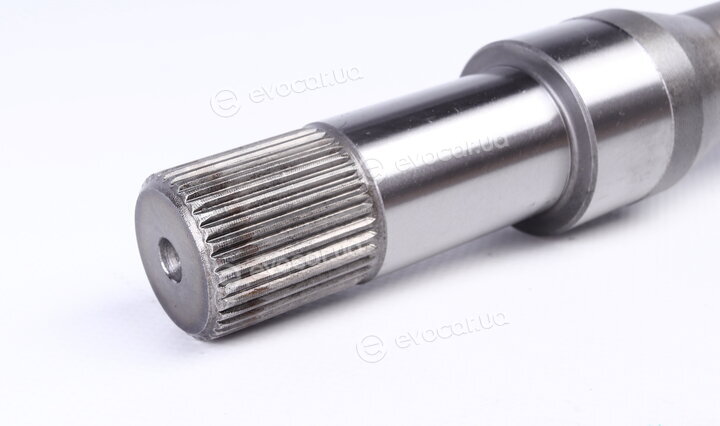 GSP 299194