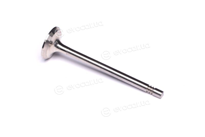 Mahle 029 VA 31099 100